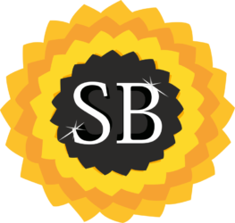 SB Techno Solutions Limited